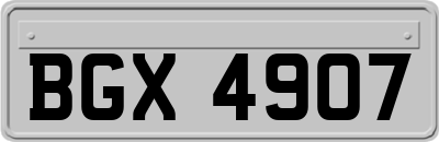 BGX4907