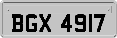 BGX4917