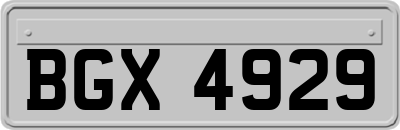BGX4929