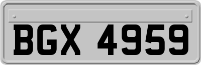 BGX4959