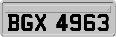 BGX4963