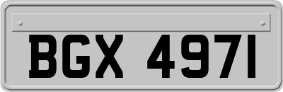 BGX4971
