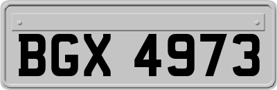 BGX4973