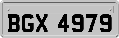BGX4979