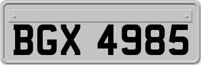 BGX4985