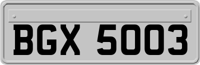 BGX5003