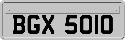 BGX5010