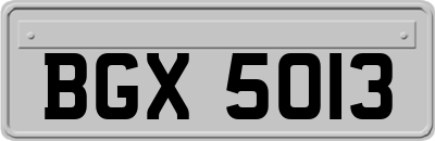 BGX5013