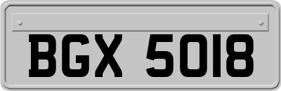 BGX5018