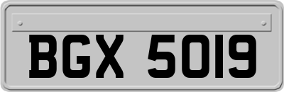 BGX5019