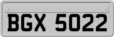 BGX5022