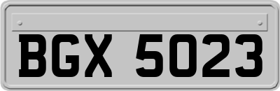 BGX5023