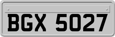BGX5027