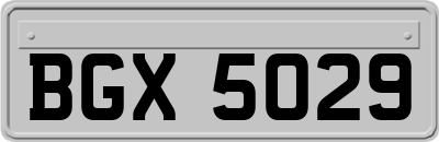 BGX5029