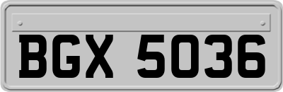 BGX5036