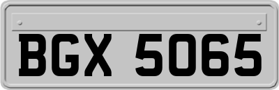 BGX5065
