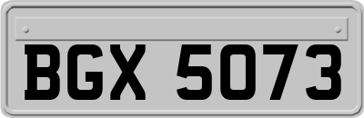 BGX5073