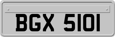 BGX5101