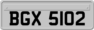 BGX5102
