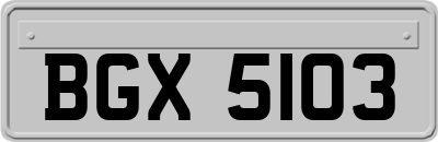 BGX5103