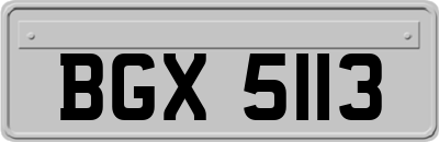 BGX5113