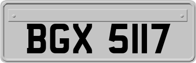 BGX5117