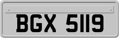 BGX5119