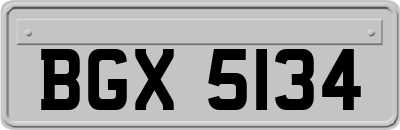 BGX5134