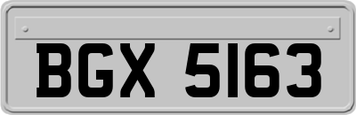 BGX5163