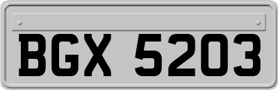 BGX5203