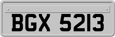 BGX5213