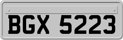 BGX5223