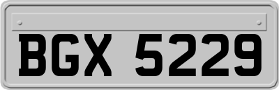BGX5229