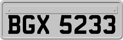 BGX5233