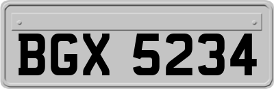 BGX5234