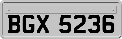 BGX5236