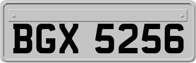 BGX5256