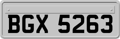 BGX5263
