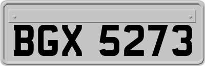 BGX5273