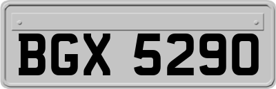BGX5290