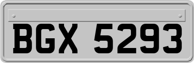 BGX5293
