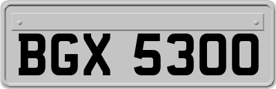 BGX5300
