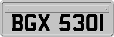 BGX5301