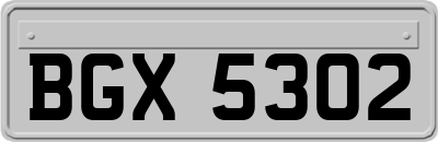 BGX5302