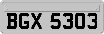 BGX5303