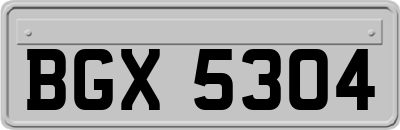 BGX5304