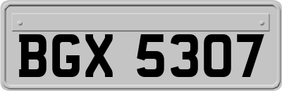 BGX5307