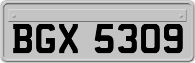 BGX5309