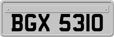 BGX5310