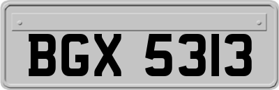 BGX5313